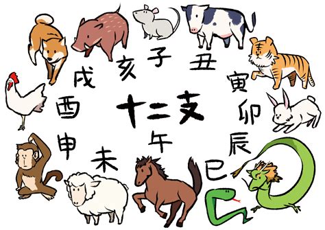 干支方位|干支（十二支）の順番と由来は？各動物の意味・特徴。